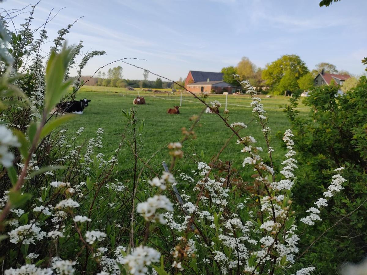 Cosyplace; Close To Beach, Nature, Train, Grocery Kopingebro Esterno foto